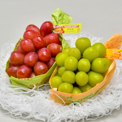 ふるさと納税 中野市 JA中野市直送!長野県オリジナルぶどう「クイーン