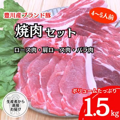 ふるさと納税 豊川市 [生産者から直送]豊川産豚肉「とよかわみー豚」 焼肉セット