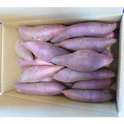 ふるさと納税 芝山町 サツマイモ(紅はるか)5kg