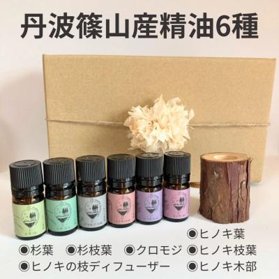 ふるさと納税 丹波篠山市 丹波篠山産間伐材使用 精油6種(ヒノキ3種・杉2種・クロモジ)とディフューザー