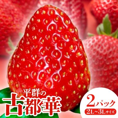 ふるさと納税 平群町 いちご 平群の古都華 2L 〜 3L サイズ ×2パック