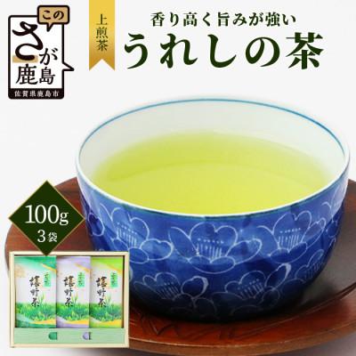 ふるさと納税 鹿島市 [ギフトにおすすめ]佐賀県産 上煎茶 うれしの茶 100g×3本[合計300g]化粧箱入り・包装