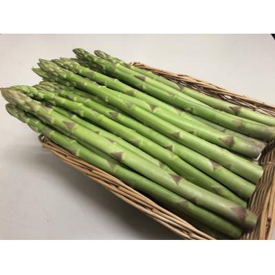 ふるさと納税 東かがわ市 アスパラガス[さぬきのめざめ]夏芽30cmロングサイズ1kg