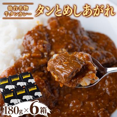 ふるさと納税 柴田町 牛タンカレー「タンとめしあがれ」6個セット