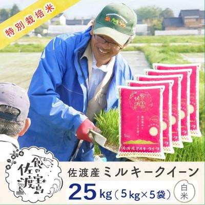 ふるさと納税 佐渡市 佐渡島産ミルキークイーン 精米25kg(5kg×5袋) 令和7年産 特別栽培米