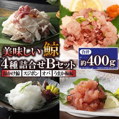 ふるさと納税 長崎市 美味しい鯨4種詰め合わせBセット(湯かけ鯨、スジポン、オバ、うまか梅鯨)