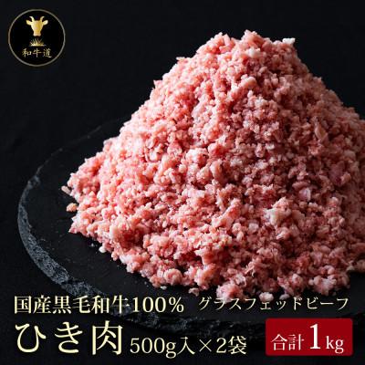 ふるさと納税 大樹町 十勝姫 ひき肉 1kg(500g×2)