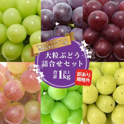 ふるさと納税 寒河江市 訳あり・シャインマスカットと品種おまかせぶどう詰合せセット