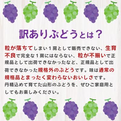 ふるさと納税 寒河江市 訳あり・シャインマスカットと品種おまかせぶどう詰合せセット |  | 02