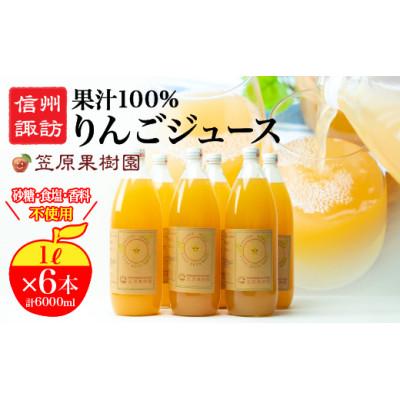 ふるさと納税 諏訪市 [果汁100%] 信州産りんごジュース (1L×6本) 長野県産 産地直送 ギフト