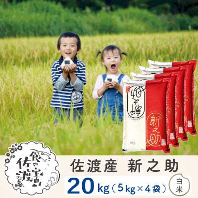 ふるさと納税 佐渡市 佐渡島産新之助 精米20Kg 令和7年産[食の宝島佐渡]