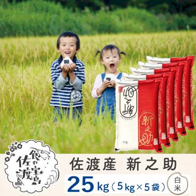 ふるさと納税 佐渡市 佐渡島産新之助 精米25Kg(5Kg×5袋) 令和7年産[食の宝島佐渡]