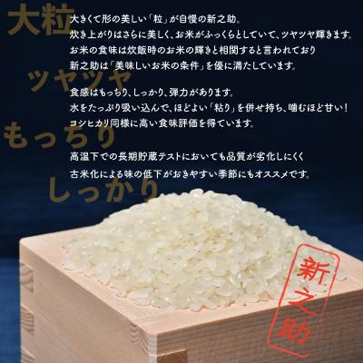 ふるさと納税 佐渡市 佐渡島産新之助 無洗米20Kg(5Kg×4袋) 令和7年産【食の宝島佐渡】_1