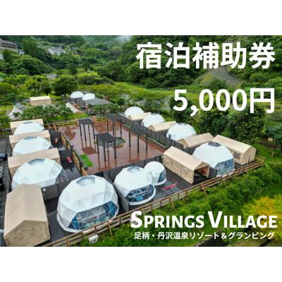 ふるさと納税 山北町 SPRINGS VILLAGE 足柄丹沢温泉リゾート&amp;グランピング 宿泊補助券 5000円