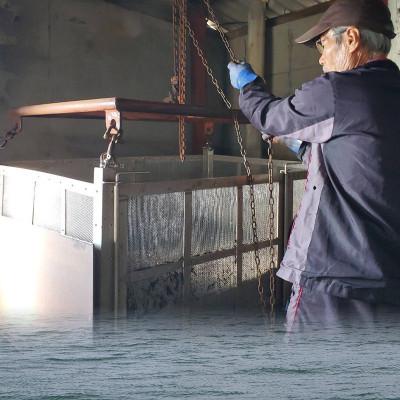 ふるさと納税 松山市 【秀品】【瀬戸内海産】寒ひじき 100g×2袋 |  | 01