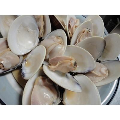 ふるさと納税 大網白里市 九十九里浜　天然はまぐり　1.5kg【厳選】〈10月上旬より順次発送予定〉_3