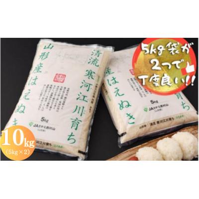 ふるさと納税 寒河江市 【令和7年産】清流寒河江川育ち 山形産はえぬき