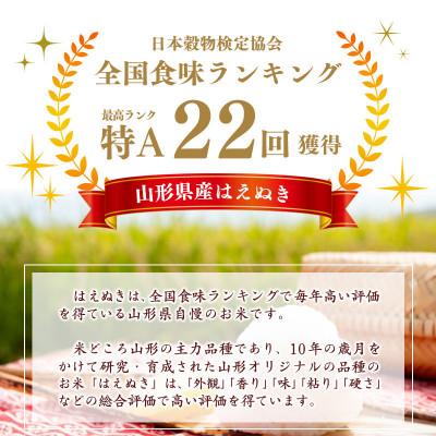 ふるさと納税 寒河江市 【令和7年産】清流寒河江川育ち 山形産はえぬき