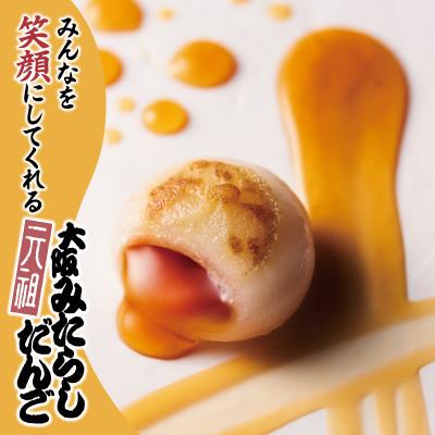 ふるさと納税 泉佐野市 元祖大阪 みたらしだんご 12個×4箱【専用箱