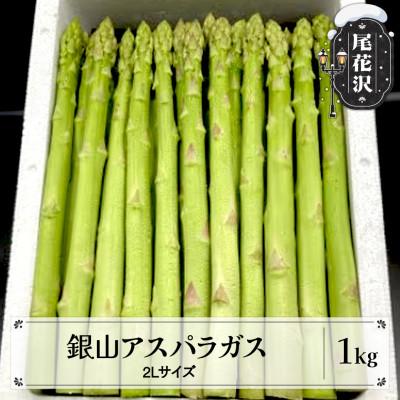 ふるさと納税 尾花沢市 [先行受付]春採り 銀山アスパラガス 2Lサイズ 1kg 令和8年産 山形県尾花沢市産