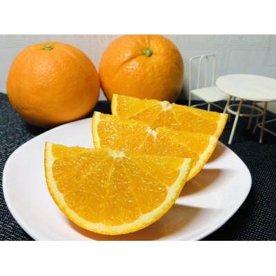 ふるさと納税 静岡市 糖度約12度!熟成ネーブルオレンジ3kg