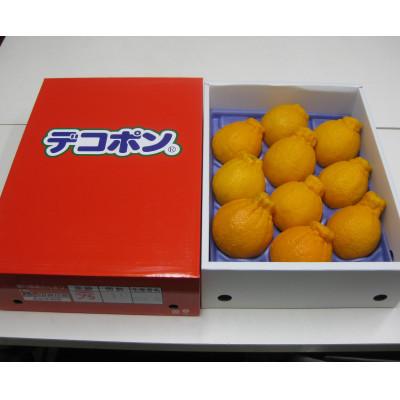 ふるさと納税 坂出市 ハウスデコポン 約2.8kg 化粧箱入り