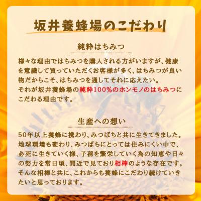 ふるさと納税 大牟田市 みつばちの雫 国産もち蜂蜜 2000gの画像