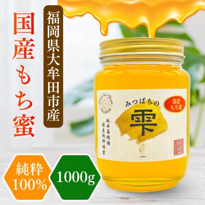 ふるさと納税 大牟田市 みつばちの雫 国産もち蜂蜜 1000g : Yahoo