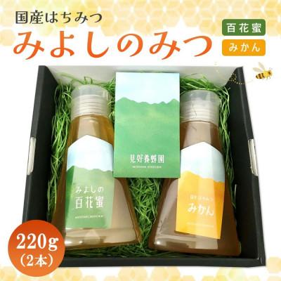 ふるさと納税 基山町 みよしのみつ(百花蜜・みかん)220g×2本