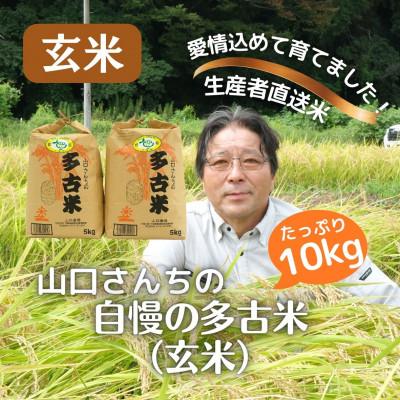 令和7年度　山口県産米　コシヒカリ　玄米 10kg ふるさと納税 多古町 山口さんちの【令和8年産】多古米コシヒカリ(玄米