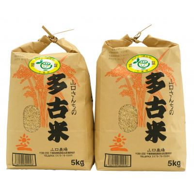 令和7年度　山口県産米　コシヒカリ　玄米 10kg ふるさと納税 多古町 山口さんちの【令和8年産】多古米コシヒカリ(玄米