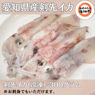 ふるさと納税 南知多町 愛知県産 剣先イカ(アカイカ)2袋