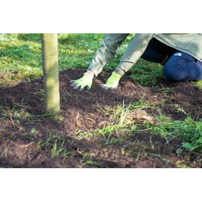 ふるさと納税 芝山町 サラブレッドコンポスト 5kg_3