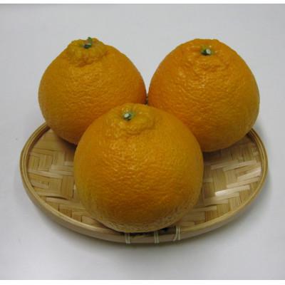 ふるさと納税 小豆島町 [さぬき讃フルーツ]不知火(温室栽培)化粧箱入り