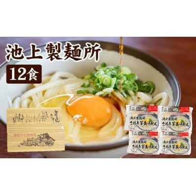 ふるさと納税 坂出市 讃岐生うどん12食入(1袋3食入×4袋)