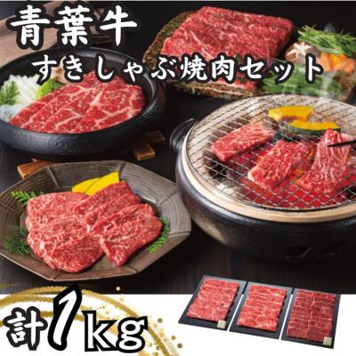 ふるさと納税 白石市 青葉牛すきしゃぶ焼肉セット(計1kg)