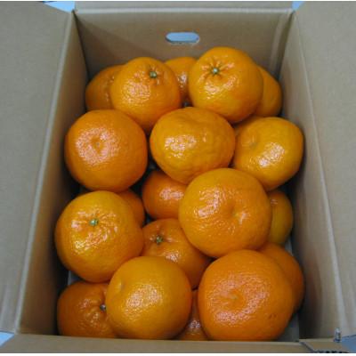 ふるさと納税 小豆島町 小豆島はるみみかん 約5kg