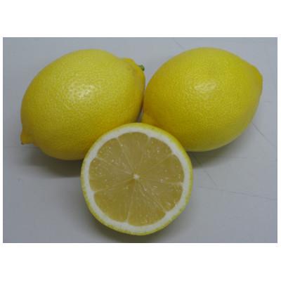 ふるさと納税 小豆島町 小豆島レモン 約5kg