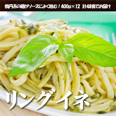 ふるさと納税 坂出市 生パスタ リングイネ 4.8kg 48食分