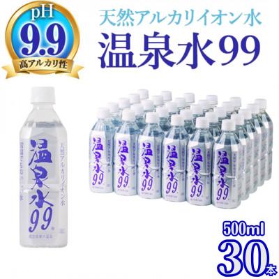 ふるさと納税 垂水市 飲む温泉水/温泉水99(500ml×30本) | 