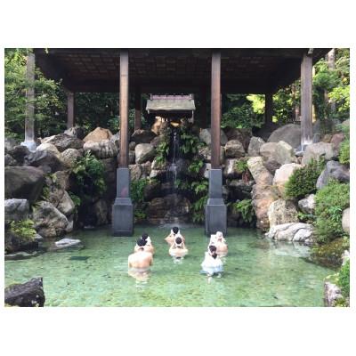 ふるさと納税 白山市 白山比め神社みそぎ体験