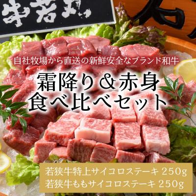 ふるさと納税 坂井市 若狭牛サイコロステーキ食べ比べセット 霜降り &amp; 赤身 計500g[B-1851]