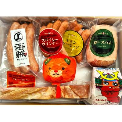 ふるさと納税 今治市 海賊大島Bセット [V000050]