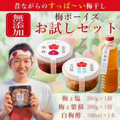 ふるさと納税 湯浅町 [無添加梅干しお試し]天日塩漬け・紫蘇漬け 各280g×1パック、白梅酢1本 梅ボーイズ|A-206