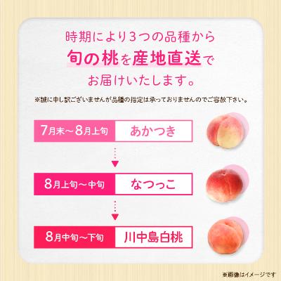ふるさと納税 中野市 【2026年発送】JA中野市直送 糖度センサー選別糖度13度以上『桃』2.1kg以上(6〜8玉)の画像