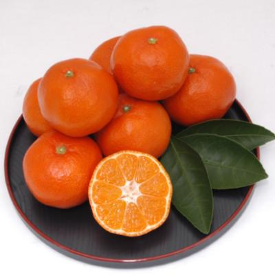 ふるさと納税 小豆島町 [さぬき讃フルーツ]小原紅早生ハウスみかん 約1kg