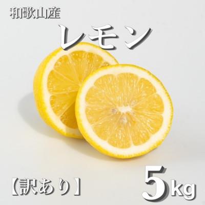 ふるさと納税 那智勝浦町 和歌山産 レモン 家庭用 5kg サイズS〜4Lの混合 [訳あり]