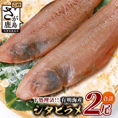 ふるさと納税 鹿島市 [下処理済で簡単調理]有明海産 シタビラメ約150g×2尾[合計約300g]