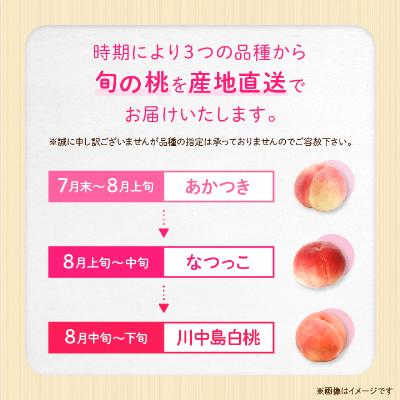 ふるさと納税 中野市 【2026年発送】JA中野市直送!ご家庭用 訳あり『桃』2.1kg以上(6〜8玉)の画像