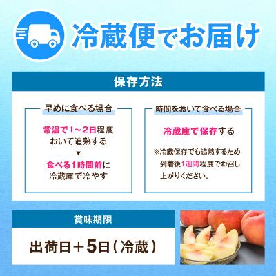 ふるさと納税 中野市 【2026年発送】JA中野市直送!ご家庭用 訳あり『桃』2.1kg以上(6〜8玉)の画像